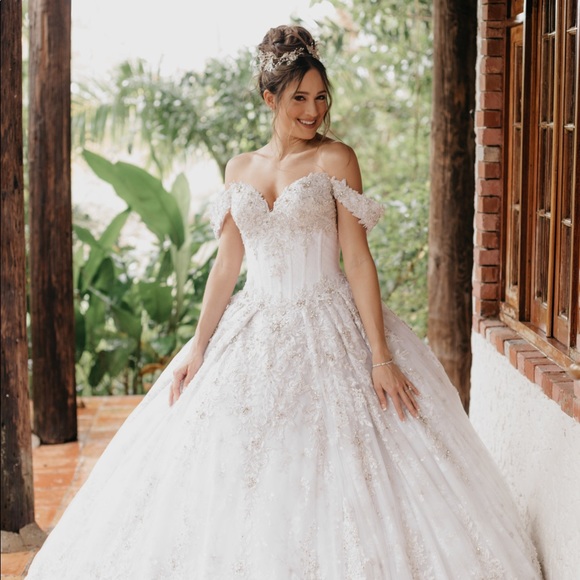 Designer Stephen Yearick ballgown wedding dress - Picture 2 of 4